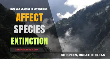 Environmental Shifts: Accelerating Species Extinction and Ecosystem Imbalance