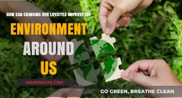 Sustainable Living: Transforming Our Habits to Heal the Planet