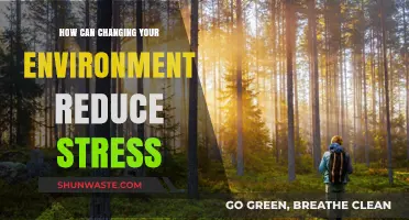 Transform Your Space: How Environment Changes Reduce Stress Effectively