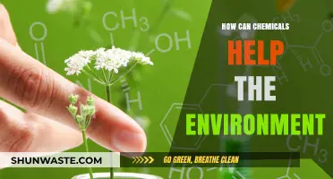 Green Chemistry Innovations: How Chemicals Can Protect Our Environment