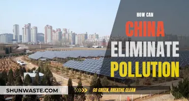 China's Pollution Solution: Strategies for a Green Future