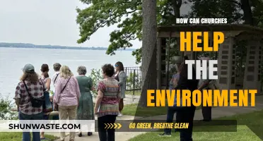 Churches and Creation Care: Practical Ways to Protect Our Planet