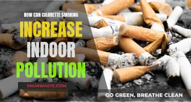 Cigarette Smoking: Indoor Pollution and Health Hazards