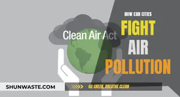 Cities' Strategies to Combat Air Pollution