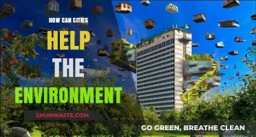 Urban Green Revolution: How Cities Can Lead Environmental Change