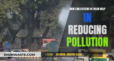 Delhi's Pollution: Simple Ways Citizens Can Help