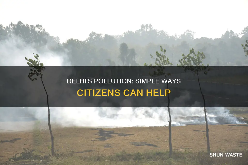 how can citizens of delhi help in reducing pollution