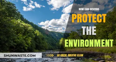 Empowering Citizens: Practical Steps to Safeguard Our Environment Effectively