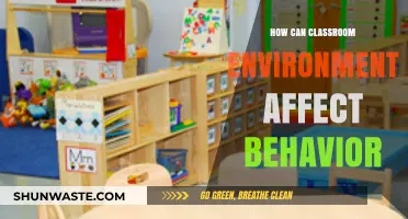 Classroom Environment's Impact: Shaping Student Behavior and Learning Outcomes