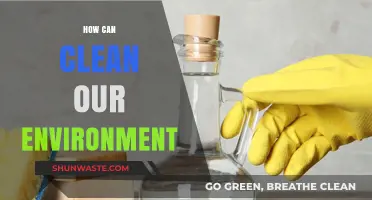 Sustainable Steps: Practical Ways to Clean and Protect Our Environment