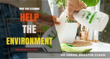 Eco-Friendly Cleaning: Simple Steps for a Greener, Healthier Planet