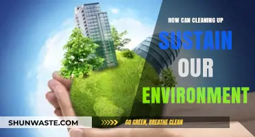 Sustainable Living: How Cleaning Up Preserves Our Environment Effectively