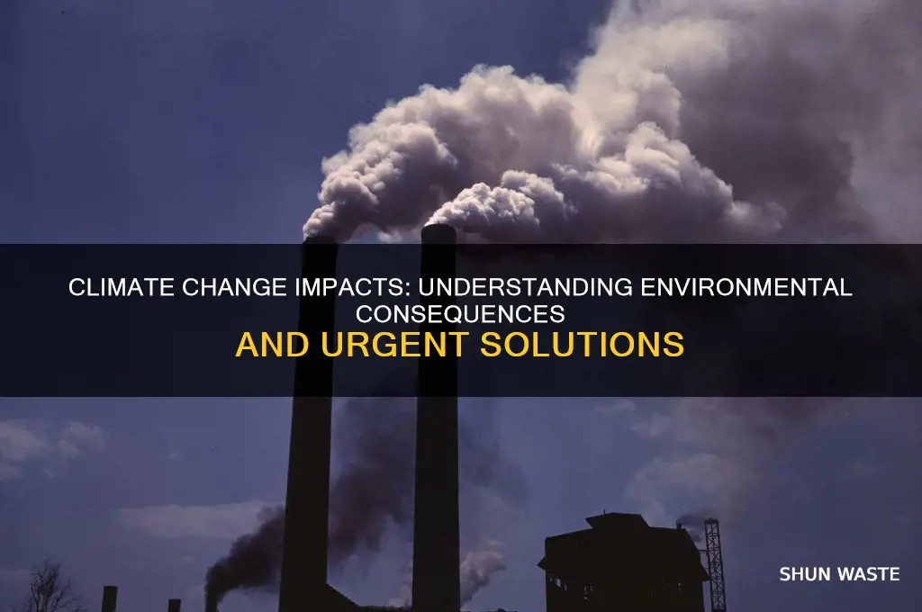 how can climate change affect our environment