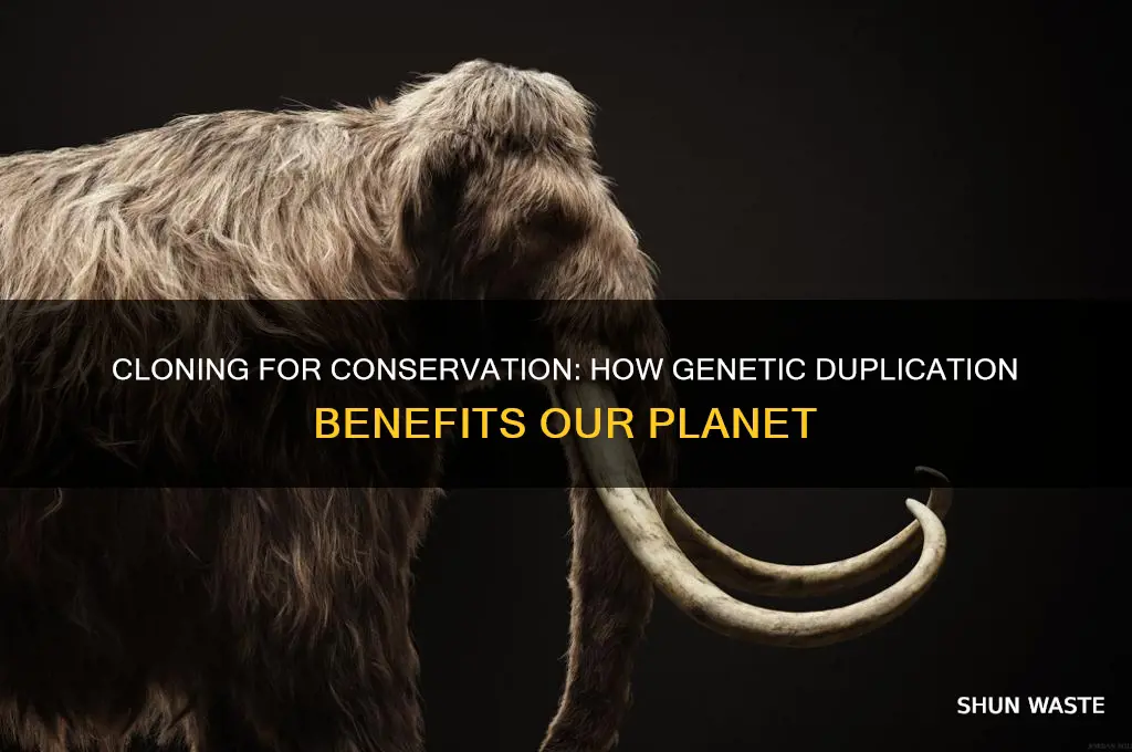 how can cloning help the environment