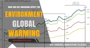CO2 Emissions Impact: Accelerating Global Warming and Environmental Degradation