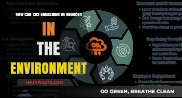 Effective Strategies to Reduce CO2 Emissions and Protect Our Environment