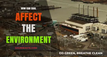 Coal's Environmental Impact: Pollution, Climate Change, and Ecosystem Destruction Explained