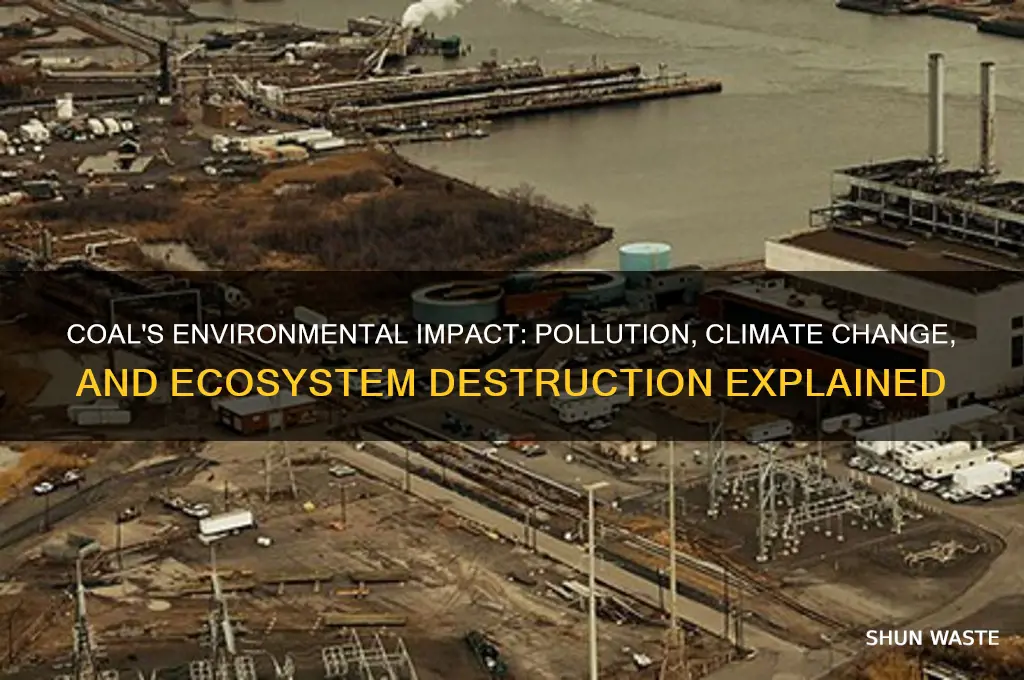 how can coal affect the environment