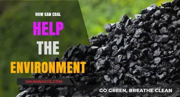 Coal's Surprising Role in Environmental Solutions and Sustainability