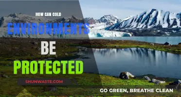 Preserving Fragile Ecosystems: Strategies to Protect Cold Environments Effectively