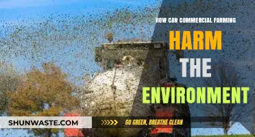 Commercial Farming's Environmental Impact: Soil, Water, and Biodiversity at Risk