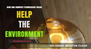 Compact Fluorescent Bulbs: Eco-Friendly Lighting for a Greener Future