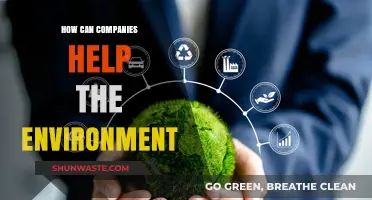 Sustainable Business Practices: How Companies Can Protect Our Planet