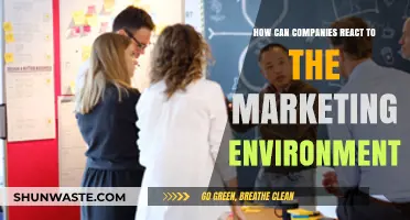 Adapting to Change: Strategies for Companies in Dynamic Marketing Environments