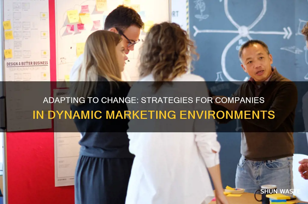 how can companies react to the marketing environment