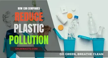 Businesses: Reduce, Reuse, and Recycle Plastic to Save the Planet