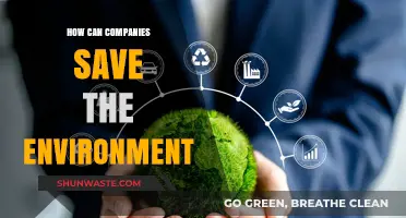 Sustainable Business Strategies: How Companies Can Protect Our Planet