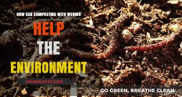 Worm Composting: A Sustainable Solution for Eco-Friendly Waste Management