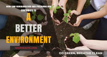 Conservation and Preservation: Key Strategies for a Sustainable Environment