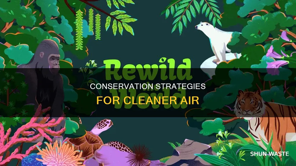 how can conservation help reduce air pollution