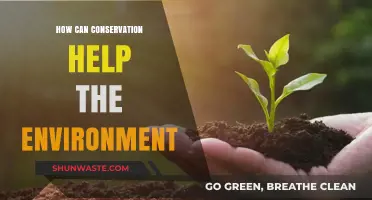Conservation's Impact: Protecting Ecosystems, Preserving Biodiversity, and Sustaining Our Planet