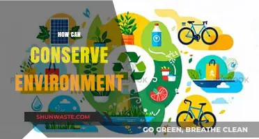 Sustainable Living: Simple Steps to Protect and Conserve Our Environment