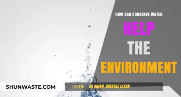 Conserving Water: A Simple Step to Protect Our Environment