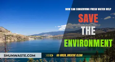 Conserving Fresh Water: A Key to Saving Our Environment
