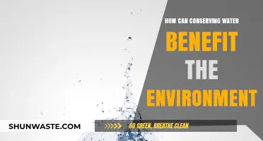Water Conservation: Protecting Ecosystems, Saving Energy, and Sustaining Our Planet