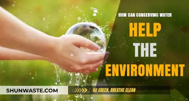 Water Conservation: A Simple Step to Protect Our Planet's Future