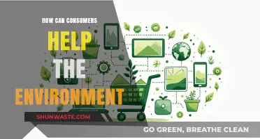 Sustainable Choices: How Consumers Can Protect and Preserve Our Environment
