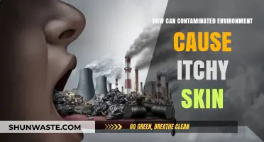 Environmental Toxins and Skin Irritation: Uncovering the Itchy Truth
