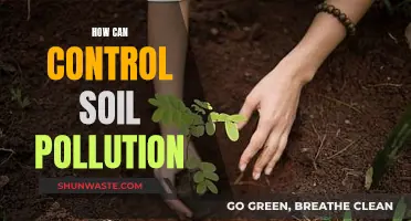 Soil Pollution: Strategies for Control and Remediation