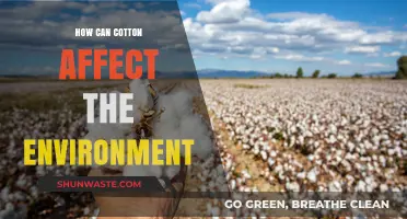 Cotton's Environmental Impact: Sustainable Practices vs. Ecological Consequences