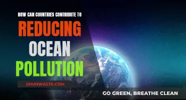 Global Efforts to Reduce Ocean Pollution