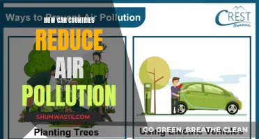 Strategies for Countries to Reduce Air Pollution