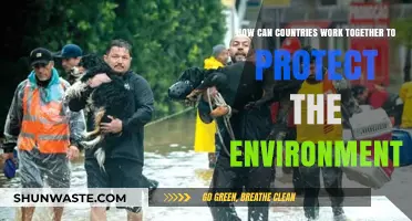 Uniting Nations: Collaborative Strategies for Global Environmental Protection