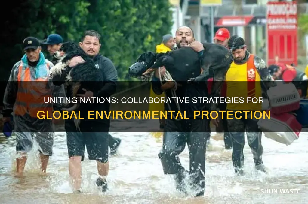 how can countries work together to protect the environment
