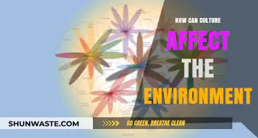 Cultural Practices and Their Impact on Environmental Sustainability Explored