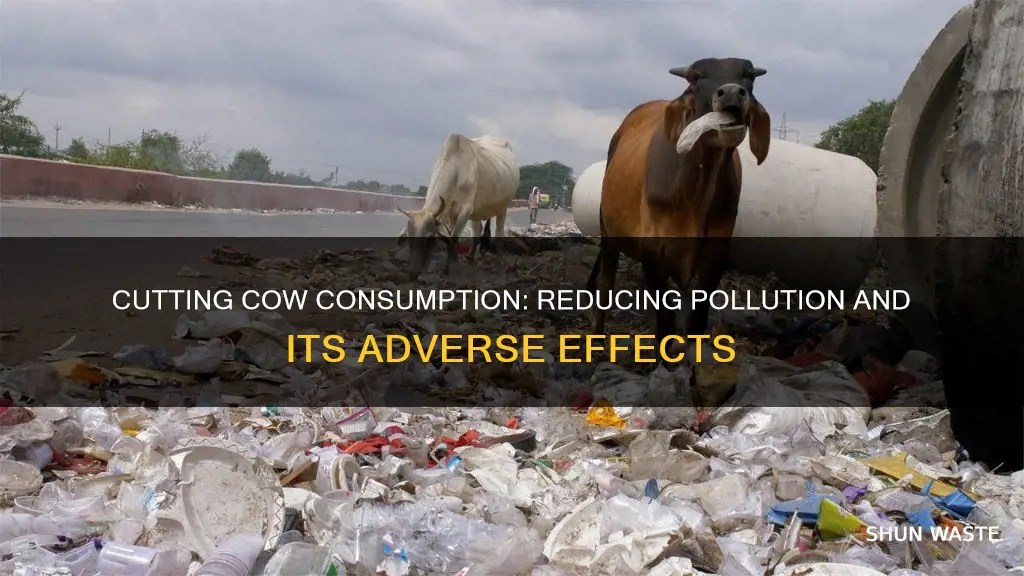 how can cutting back on cow help pollution